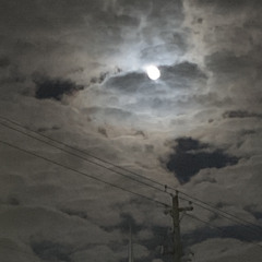 4 Door(W Fatdaddycummshott & Lilnoodle)(@Shelovesnoodle)