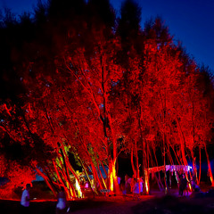 Wellfest 2025 Queenstown New Zealand - Hybrid Set Abstract