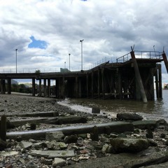 I Cover The Waterfront. CD Lazy Blue Eyes. Ian Shaw Tony Remy Steve Lodder Carol Grimes.