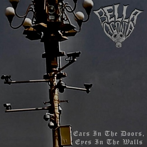 Stream EARS IN THE DOORS, EYES IN THE WALLS by BELLA AGONIA Listen