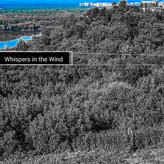 Whispers in the Wind.wav