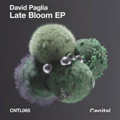David Paglia - Nu Mooves [CNTL065]