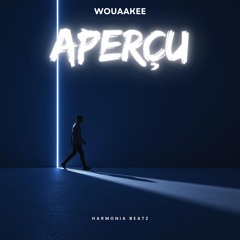 Aperçu