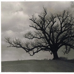 Hanging Tree - Queens Of The Stone Age Cover