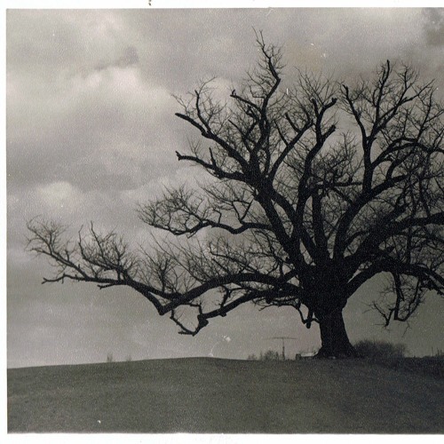 Hanging Tree - Queens Of The Stone Age Cover