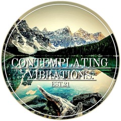 Contemplating Vibrations [#02] Paranoid SouL