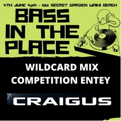 15 Minute Mini Mix - Craigus Wildcard Entry