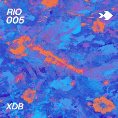 Rio 005 - XDB (recorded live at Bonanza 2024)