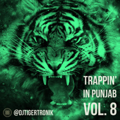 Trappin' In Punjab Vol. 8 | 2025 Party Podcast | TIGERTRONIK