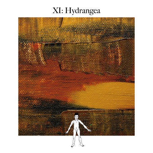 Awareness XI: Hydrangea