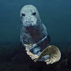 LucasWorld - Take It Back