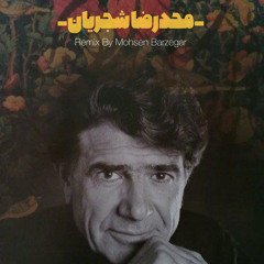 MOHAMMADREZA SHAJARIAN