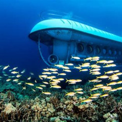Best Atlantis Submarine Kona Hawaii Island Tours Review