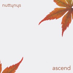 Nutty Nys - Ascend