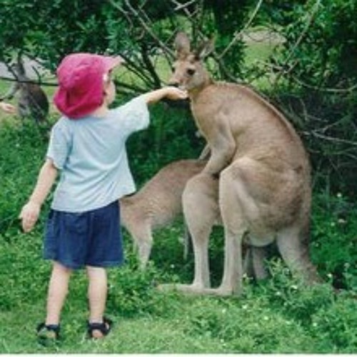 Coitus interruptus No.1