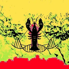 Check It [Free Download]