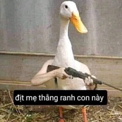 kiếp nạn đêm khuya của mày