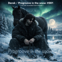 Derek / Progroove in the snow #001 / Live set recorded from Finland