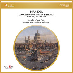 Concerto in B-Flat Major Op. 4, No. 2, HWV 290: II. Allegro