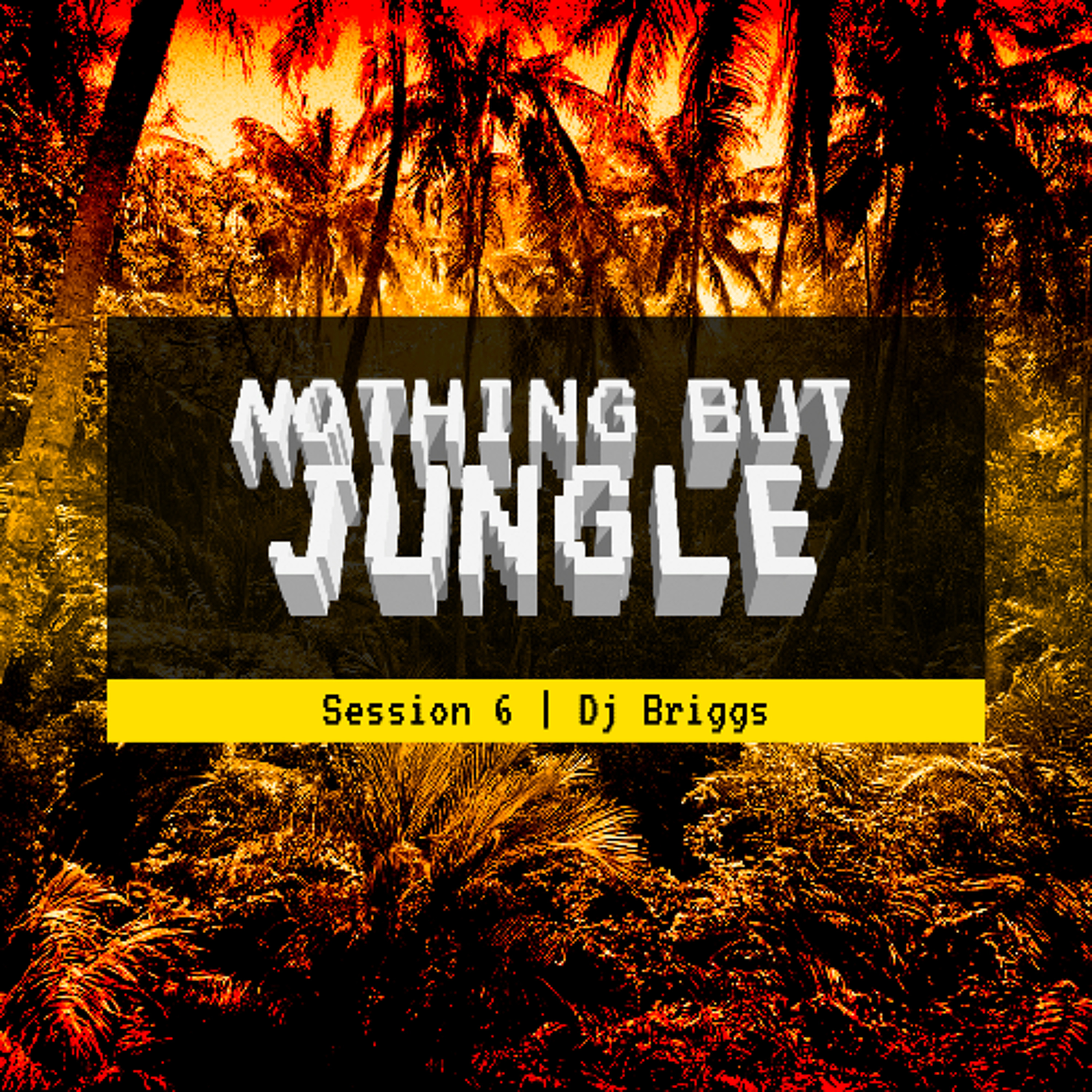Nothing But Jungle Session 6 episode artwork
