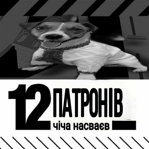 12 патронів @чіча насваєв