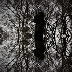 No Sleep (p.mvvi)