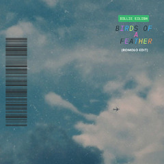 Billie Eilish - BIRDS OF A FEATHER (ROMOLO EDIT)