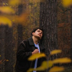 zeig mir wie man liebt