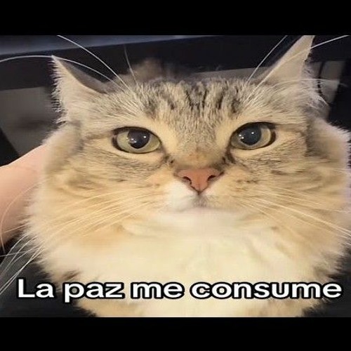 Stream lumii