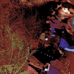 Verti Sahara @ abandoned canals 20.11.2025