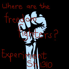 Where are the freedom fighters?