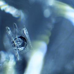 Into Ocean & Ice