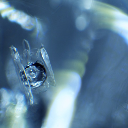 Into Ocean & Ice