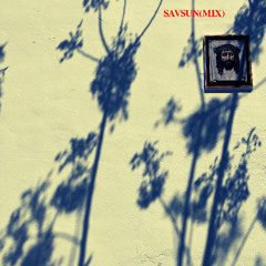 Township Rebellion-Avidus(Savsun Mix).mp4