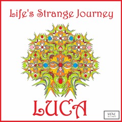 Life's Strange Journey