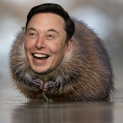 Elon Muskrat