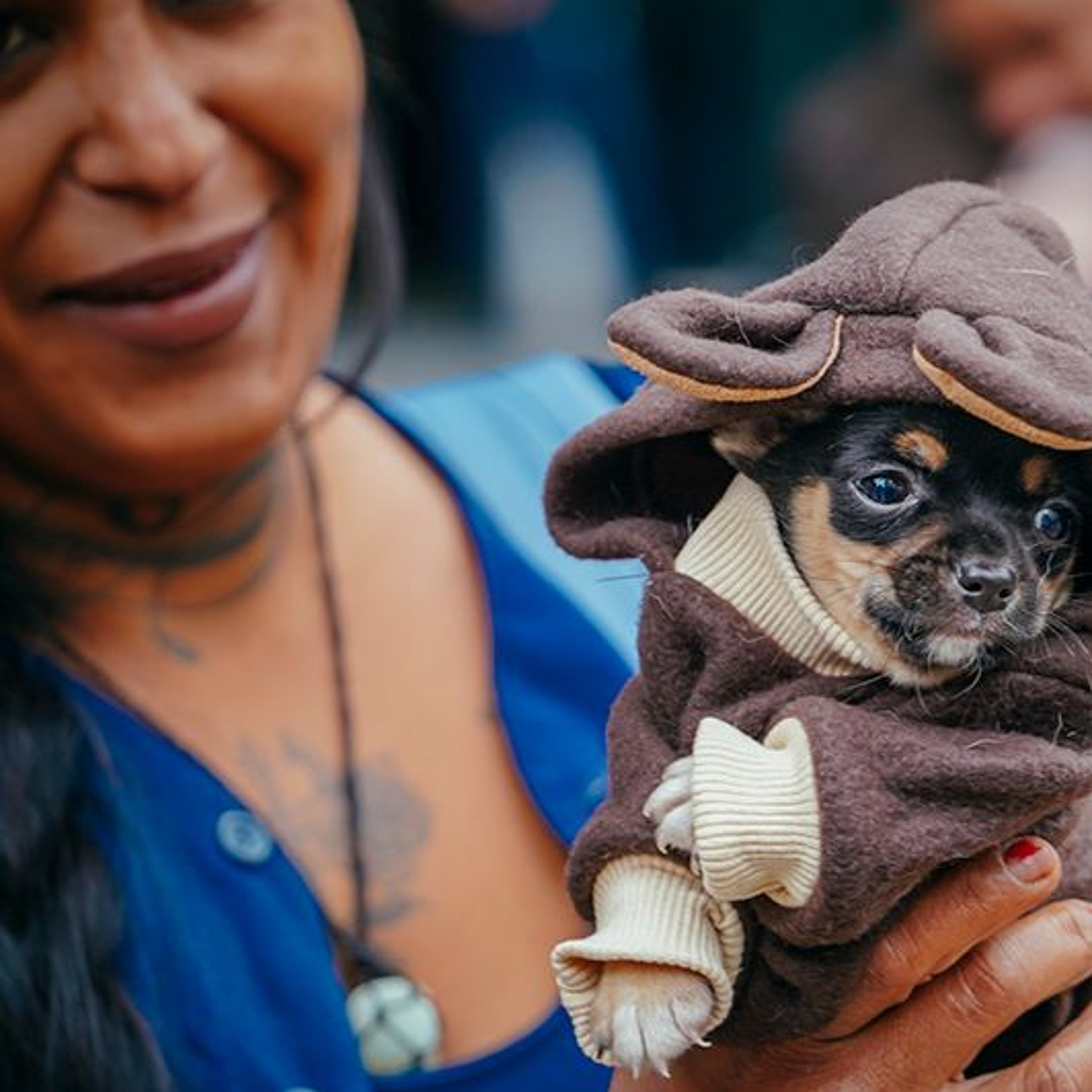 01.06.2026 = CÂMARA ABERTA DESTE DOMINGO OFERECEU CUIDADOS AOS PETS DE PESSOAS VULNERÁVEIS episode artwork