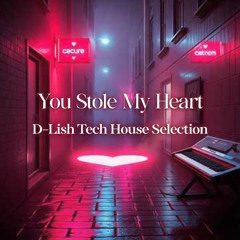 You Stole My Heart - Tech House Selection