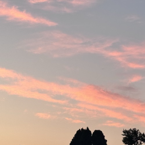 WHAT I SAW