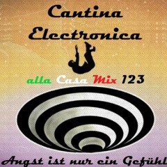 Cantina Electronica 1/23 - Angst ist nur ein Gefühl - #Meikel