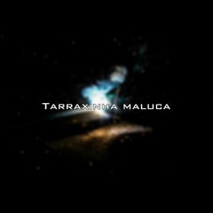 KizoKiz - Tarraxinha Maluca (Audio Official)