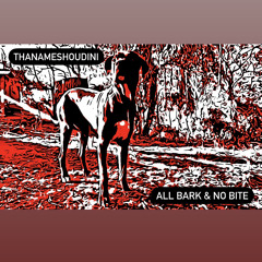 All Bark & No Bite 🐕