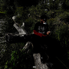 No Luv (prod. marlys)