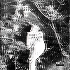 WHITE CHEDDAR (PROD. REVNACK)