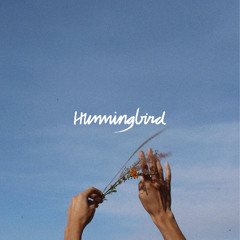 Hummingbird (Acustica) por Rio Pixquiac