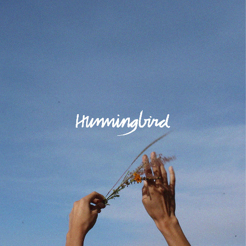 Hummingbird (Acustica) por Rio Pixquiac