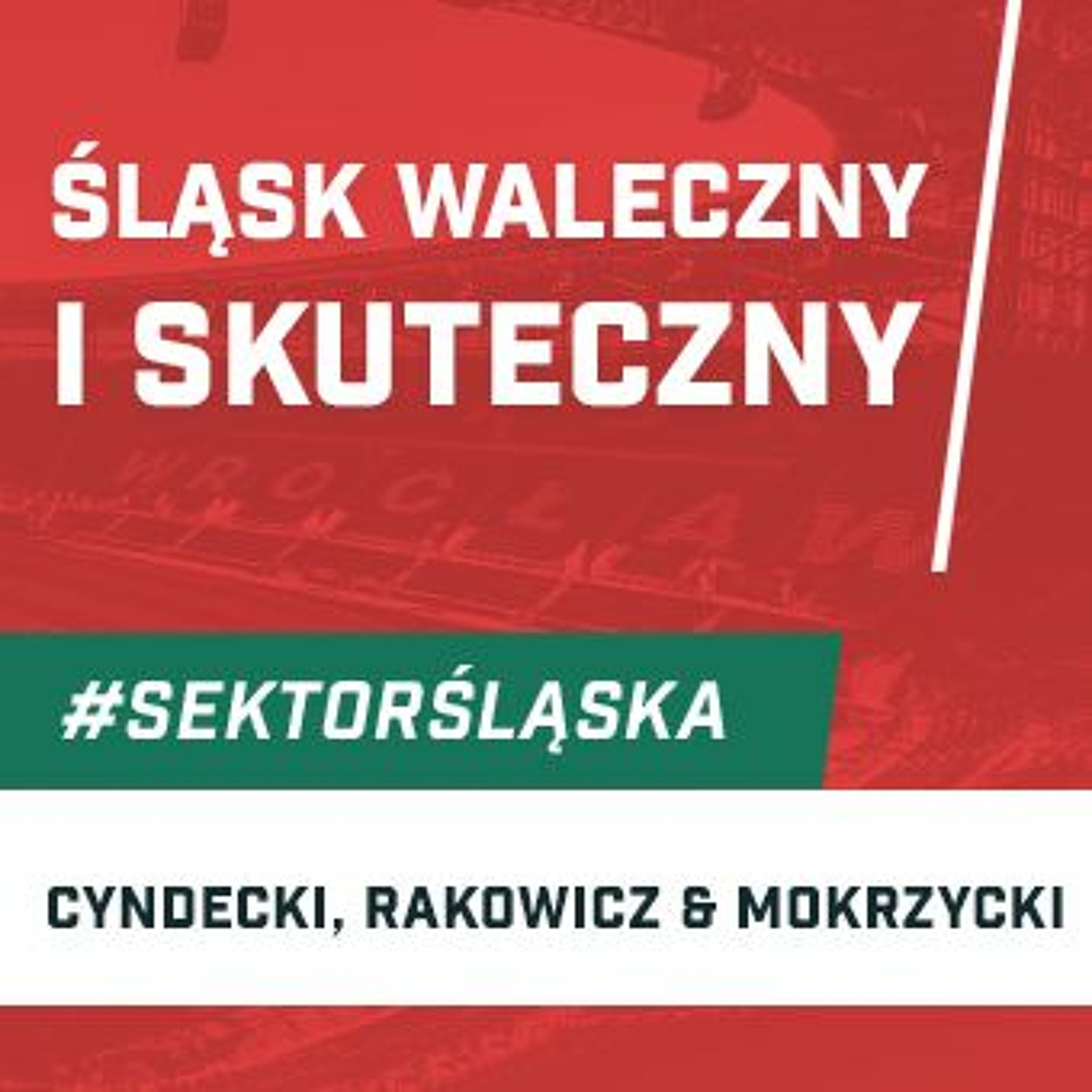Śląsknet