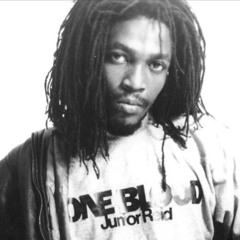Junior Reid - One Blood (G-Mix)