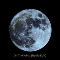 On The Wind (Radio Edit)