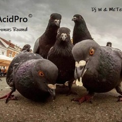 RobertoMonti - The Acid Pro (Part 4)(Bonus Round)     . . . [ Dj W & McTee's Tune ] !